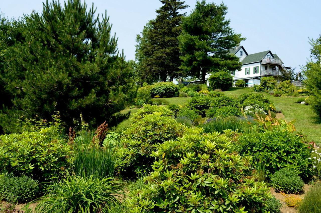 Still Point Lodge Deep Brook 外观 照片