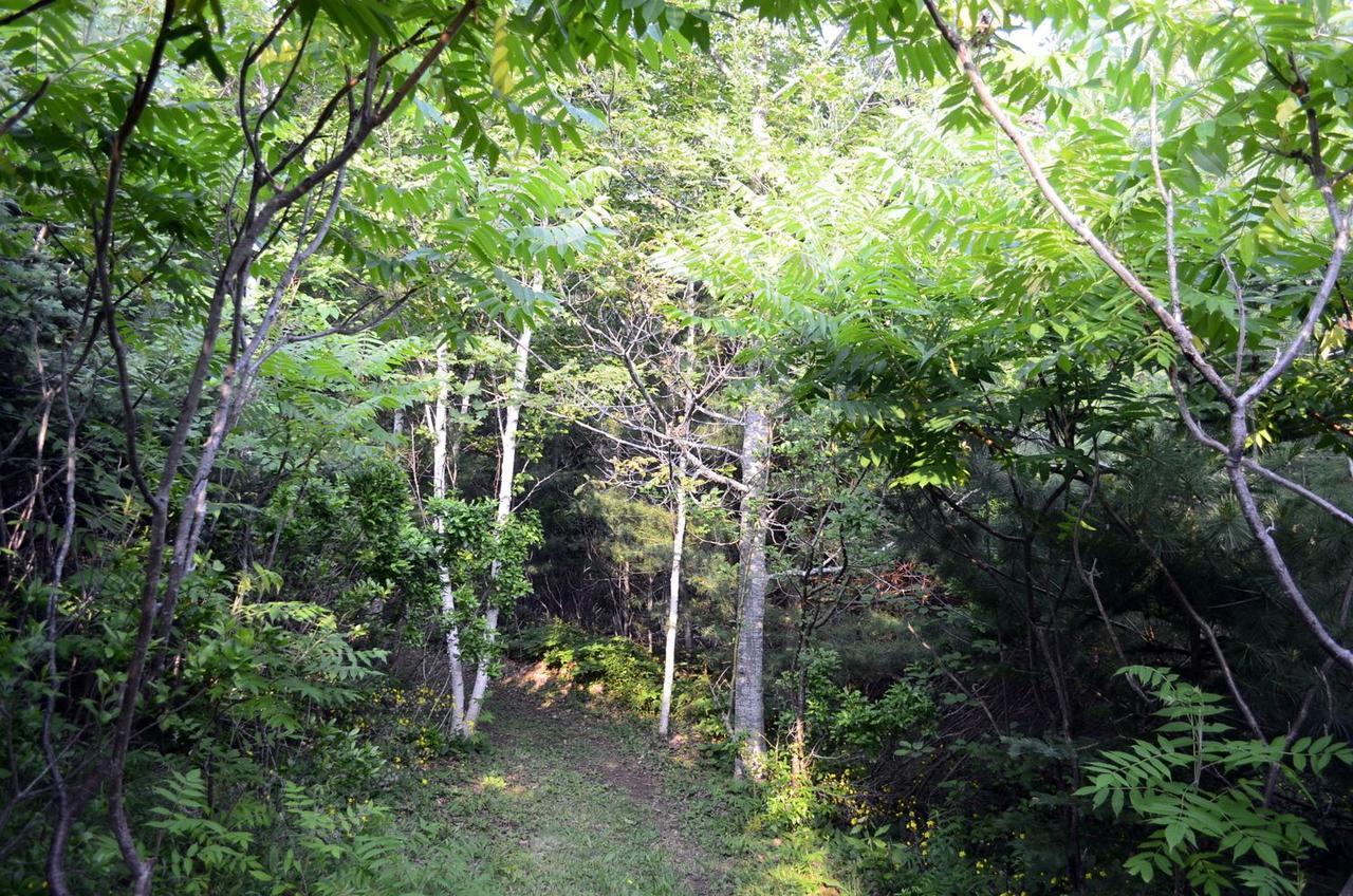 Still Point Lodge Deep Brook 外观 照片